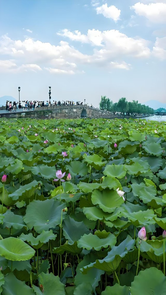 企业贷款哪家银行好审批通过？杭州小微企业贷款需要什么条件