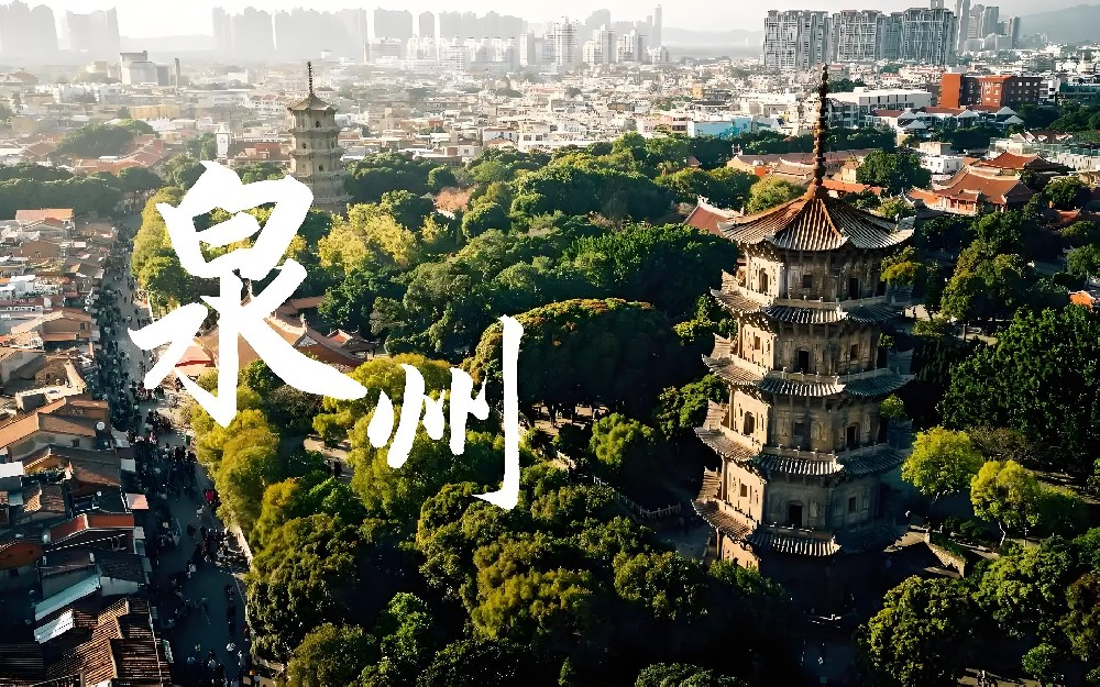 泉州企业法人信用贷款怎么办理？企业贷款什么条件申请好下款？