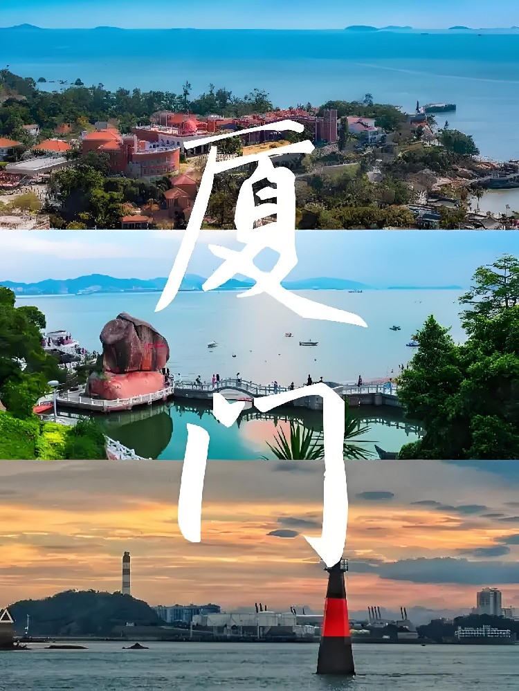 厦门诚泰小额贷款公司-企业贷款「税易贷」怎么办理？什么条件好下款？