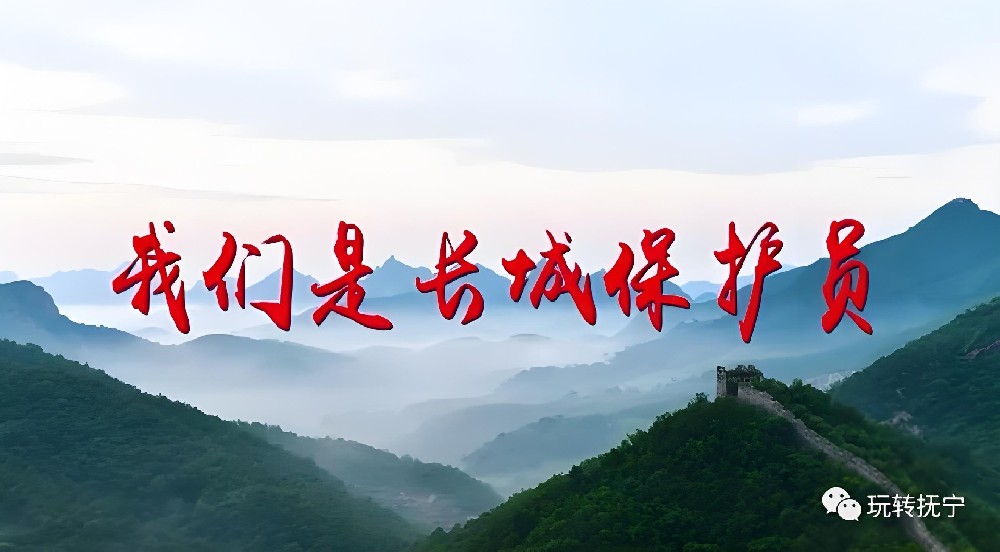 抚宁农村信用社小微企业税贷宝贷款怎么办理？什么条件申请好下款