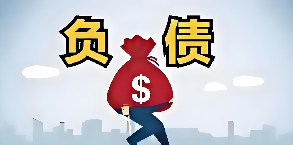 法人负债高企业可以办理税贷吗？哪些企业税贷平台不看法人负债？