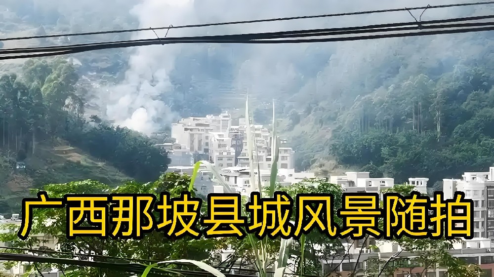 那坡县农村商业银行「企业贷款」什么资质申请容易通过好下款？