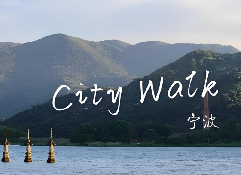 宁波开发区小微企业申请应急借款的条件是什么？如何办理？好下款吗？