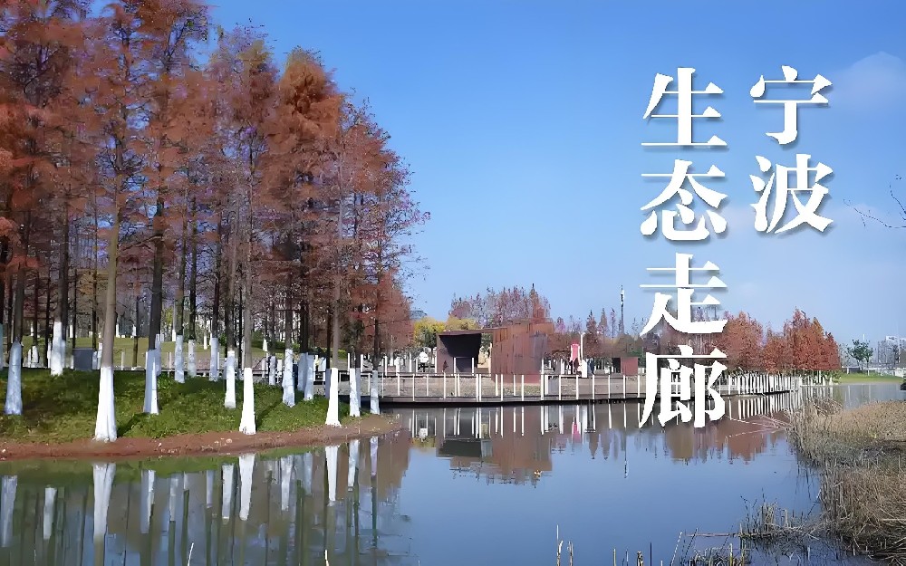 征信花，宁波小微企业借钱能下款吗？要什么条件？以下4个细节到位稳下款