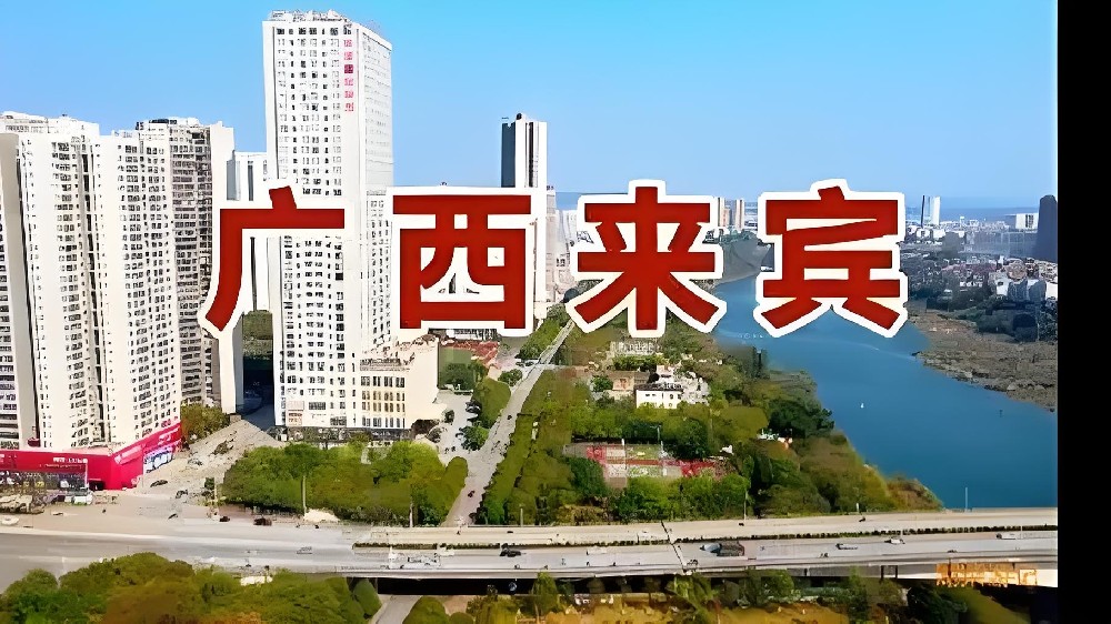 来宾市「企业贷款」征信花能下款吗？提现多久到账？对征信什么要求？