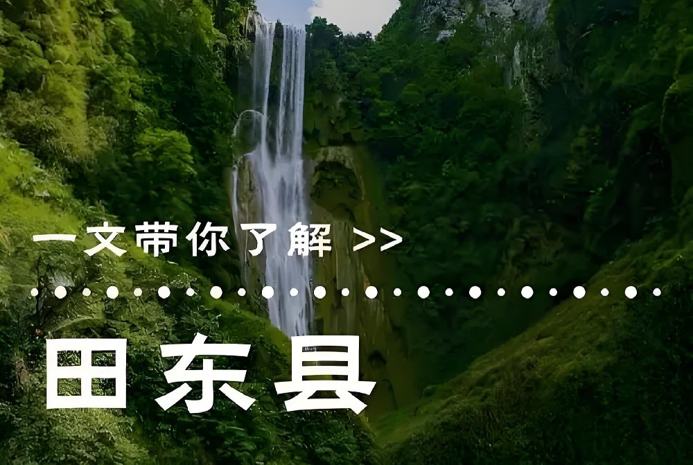 申请田东农村商业银行企业贷款需要哪些条件和手续？