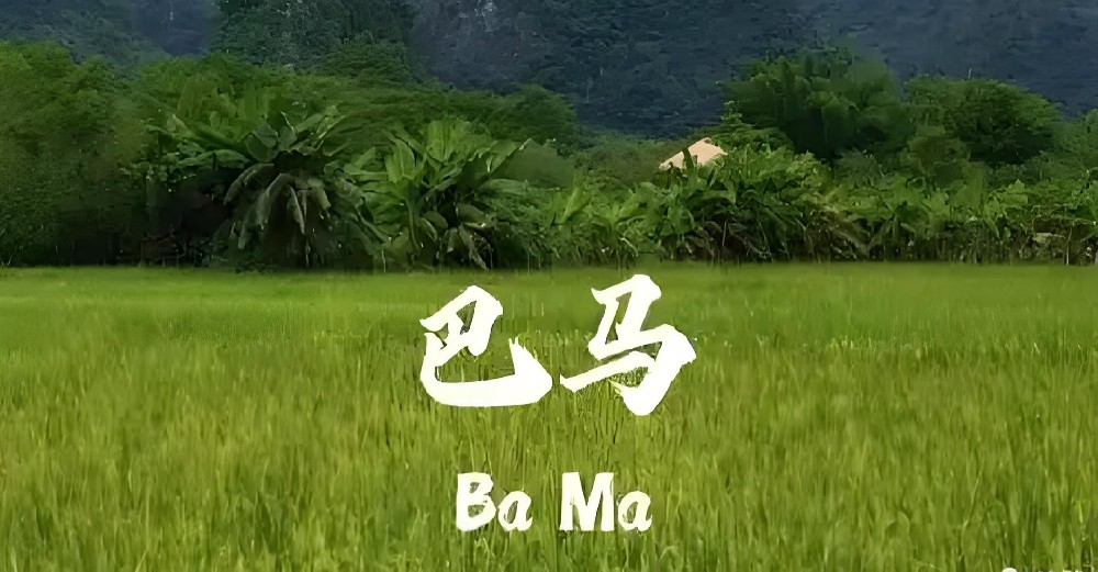 巴马农村商业银行小微企业贷款税企贷怎么申请好通过下款？