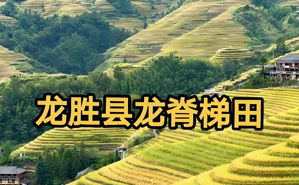 龙胜农村商业银行小微企业「信易贷」申请好下款吗？需要哪些条件？