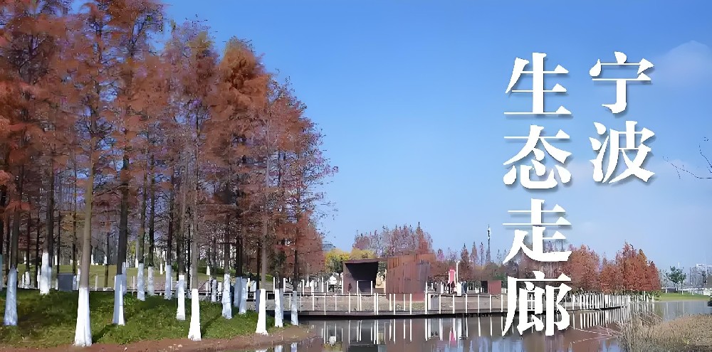 宁波市融担给每家企业都有贷款额度吗？宁波小微企业借钱怎么申请？