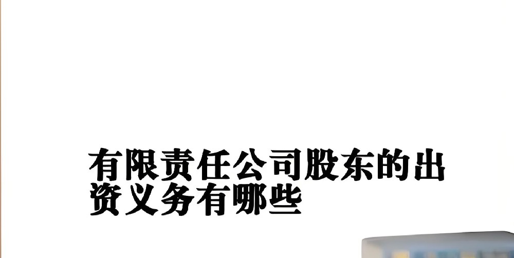 股东可以申请的税票贷产品有哪些具体要求和额度?申请要什么条件？