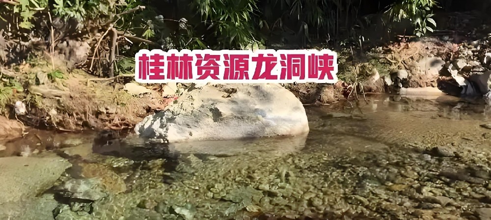 资源农村商业银行小微企业贷申请要什么条件好通过下款？