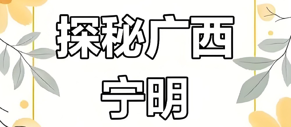 宁明农村商业银行小微企业贷款申请好下款吗？需要哪些条件？
