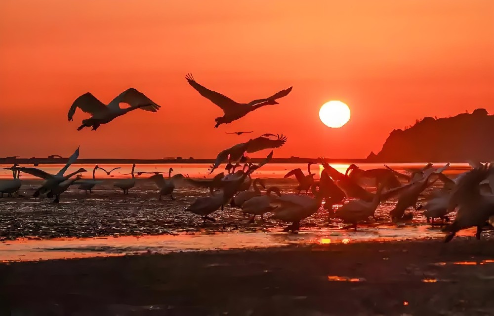 速容通企业贷款助贷平台，速容通是如何帮企业法人申请贷款下款的？