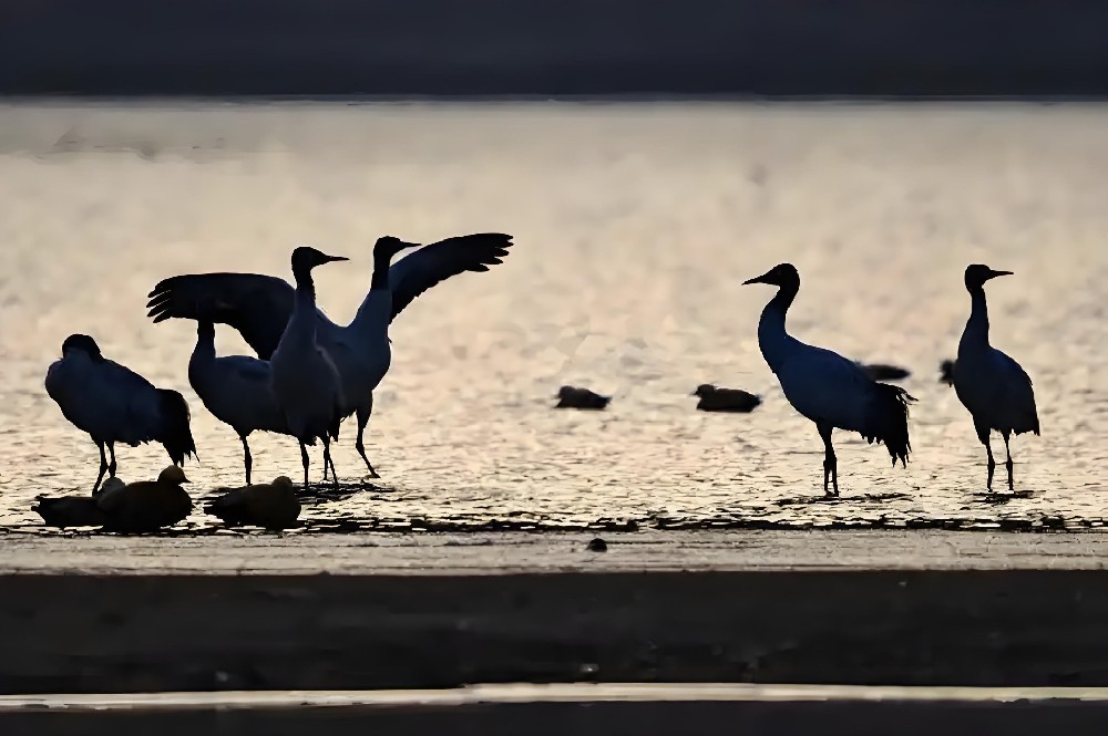 法人企业贷款平台有哪些？速容通整理不同类型及申请技巧！