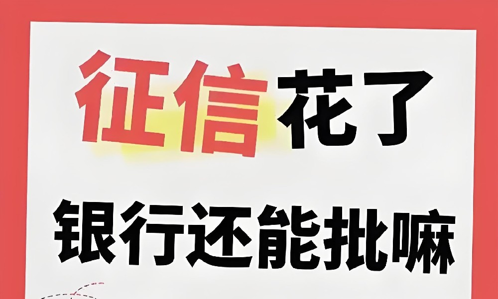 漳州不看征信的贷款2025精选，漳州企业法人征信花可以贷款的机构推荐！