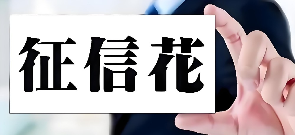 2026最新推荐:东营企业法人征信花,这些银行可下款!