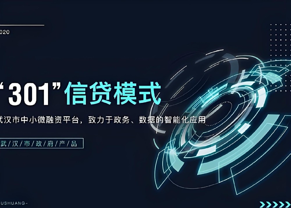 武汉征信不良个体户贷款：无需抵押，1-3天放款产品详解！