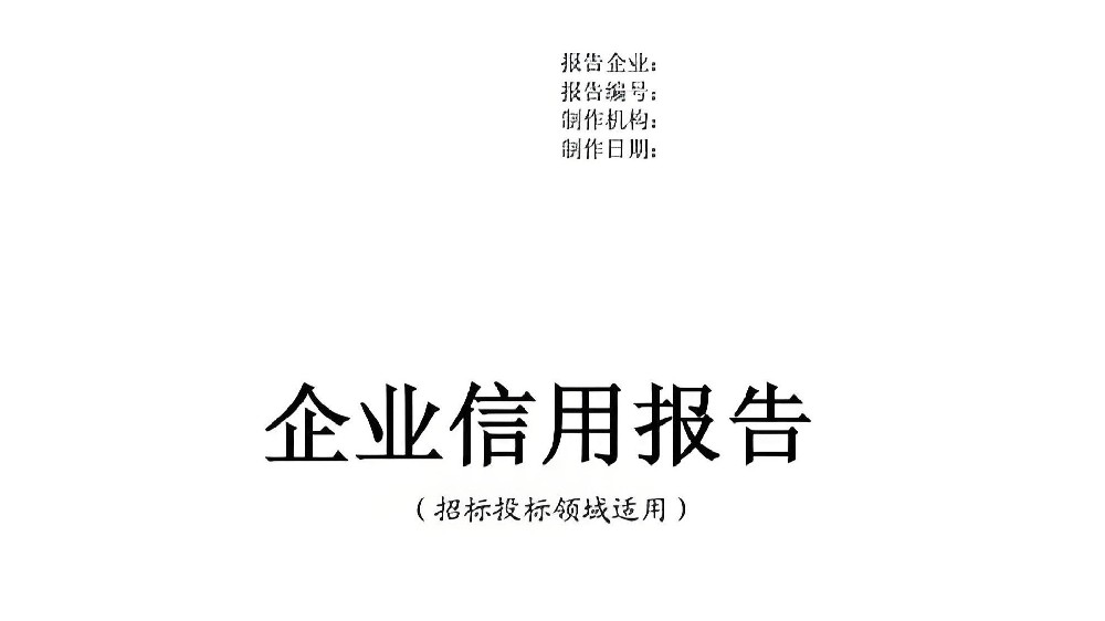 企业信用报告怎么查？一份完整的征信查询与解读攻略
