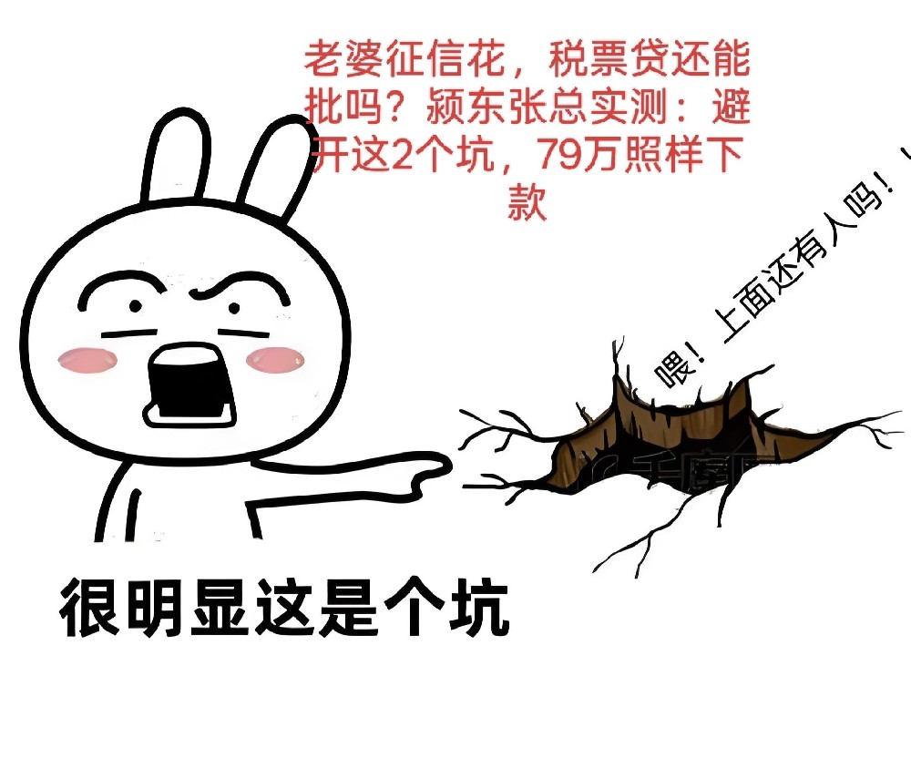 老婆征信花，税票贷还能批吗？颍东张总实测：避开这2个坑，79万照样下款