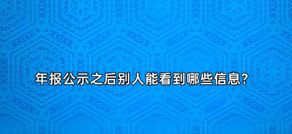 年报公示之后别人能看到哪些信息？