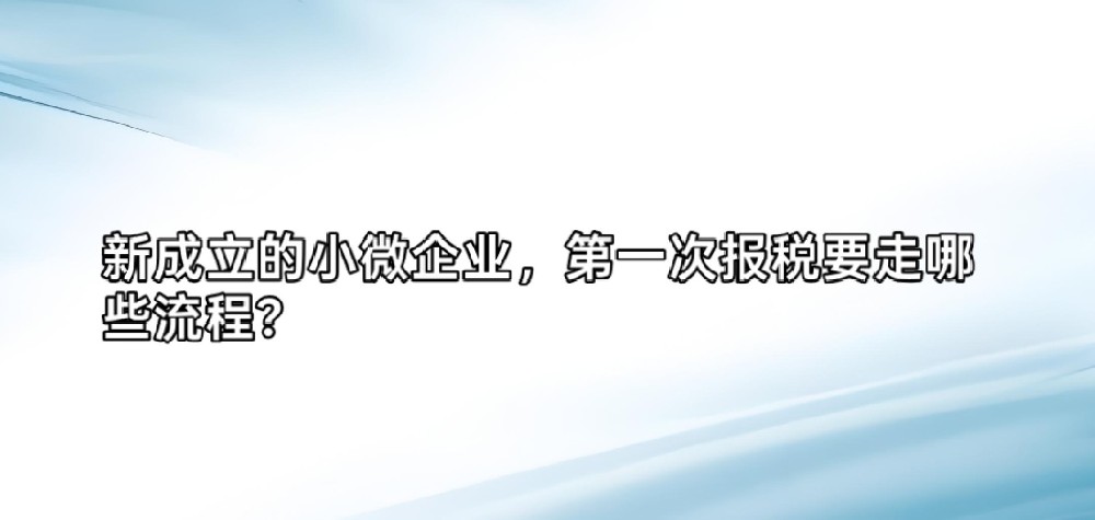 新办小微企业首次报税完整流程