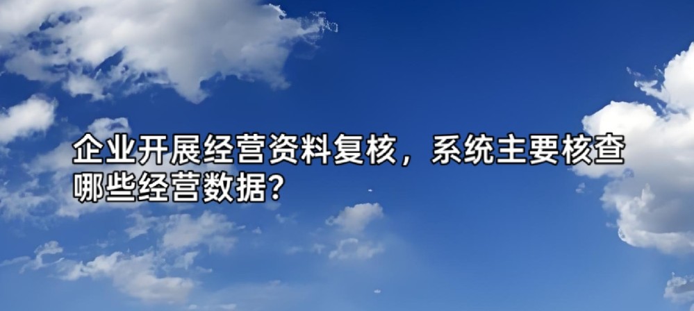 企业开展经营资料复核，系统主要核查哪些经营数据？