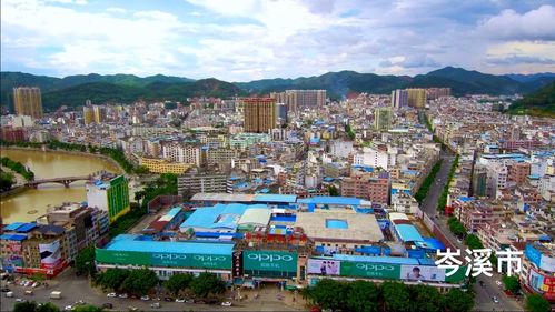 岑溪市「企业贷款」申请要什么条件？征信花好下款吗？申请流程是什么？